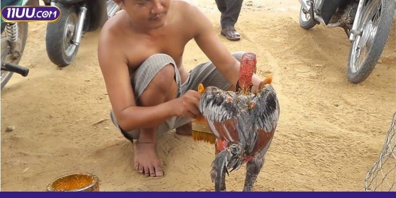 Bôi toàn thân rồi quan sát vài giờ