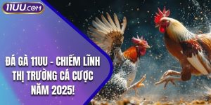 Đá Gà 11UU - Chiếm Lĩnh Thị Trường Cá Cược Năm 2025!