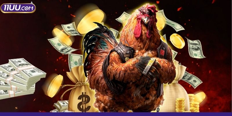 Thông tin sơ lược về soi kèo đá gà